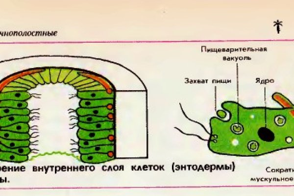 Кракен маркетплейс зайти