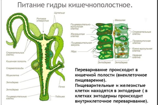 Кракен зеркало впн