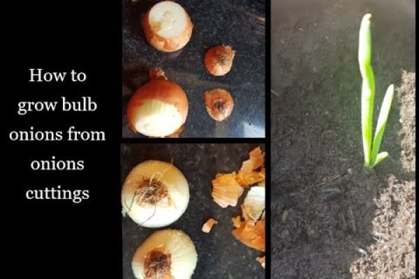 Кракен новое зеркало